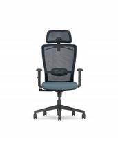 Biuro kėdė FLEXISPOT BS3, pilka, ergonomiška, reguliuojama, tinklinė