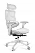 Ergonominė biuro kėdė ERGOTECH, balti rėmai, atitinka ES direktyvą
