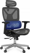 Ergonominė biuro kėdė FLEXISPOT CTDG-LITE-PRO-V2 su tinkliniu atlošu