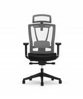 Biuro kėdė Flexispot, juoda