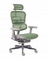 Ergonominė biuro kėdė Ergohuman 2 Elite, žalios spalvos, tinklinė