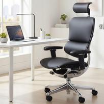 Ergonominė biuro kėdė Ergohuman 2 Elite, natūrali juoda oda, su pasukimu