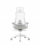 Biuro kėdė Flexispot, ergonomiška, su 4D reguliavimu, pilkai juodos spalvos