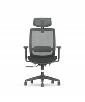 Biuro kėdė FLEXISPOT BS4, ergonomiška, su galvos atrama, pilka, 136 kg