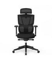 Ergonominė kėdė Flexispot C7 su 3D bangos porankiais, tinkline nugarėle, 136 kg