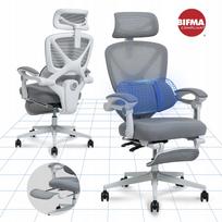 Ergonominė kėdė FlexiSpot OC4 su 3 zonų atrama, BIFMA, namų biurui