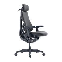 Biuro kėdė LIBERNOVO Omni, ergonomiška, reguliuojama, 48 cm, grafito spalvos