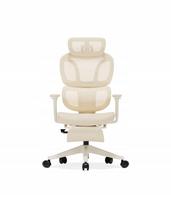 Ergonominė kėdė Flexispot BS5 su paminkštinta sėdyne ir pakoju, Cloud Apricot spalvos