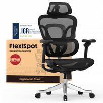 Biuro kėdė Flexispot Ergox MAX, ergonomiška, su 4D galvos atrama, iki 300 kg