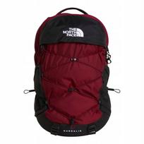 Miestinis kuprinė The North Face BOREALIS, burgundiška, NF0A52SERH1