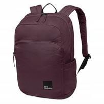 Sportinė kuprinė Jack Wolfskin Terraview, bordo, mokyklai ir žygiams