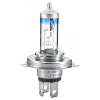 Priekinio žibinto lemputė HELLA 8GJ 002 525-531