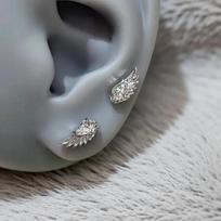 1pair Shiny Crystal Wing Stud Earrings for Women Silver Hypoallergenic Cross Ear Screw Back Piercing Cartilage Jewelry Gift Silver sidabras
