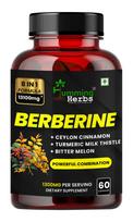 Humming Herbs Berberinas 13100mg | 8-in-1 žolelių mišinys su Ceilono cinamonu, ciberžole, marguoju pienu, kartūzu ir probiotikais | 60 daržovių kapsulių
