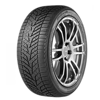 Yokohama BLUEARTH *WINTER V905 xl 315/35 R20 110 V