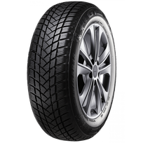 GT Radial WINTERPRO 2 205/55 R16 91 H