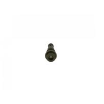 Common rail sistemos slėgio ribojimo vožtuvas BOSCH F 00N 210 255