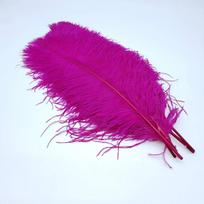10 vnt./partija Natūralūs stručio plunksnos Rankdarbiams Vestuvių dekoravimui Rankdarbių reikmenys Stalo puošmenos Karnavalas Plumas Kalėdos 15-20cm 6-8inch