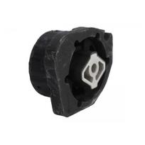 Automatinės pavarų dėžės tvirtinimas REINHOCH RH12-3033