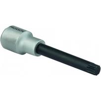 Galvutė su antgaliu SPLINE PROXXON 12mm