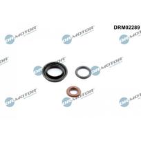Purkštuko tarpinių rinkinys Dr.Motor Automotive DRM02289