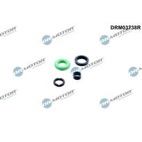 Purkštuko tarpinių rinkinys Dr.Motor Automotive DRM03738R