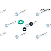 Purkštuko tarpinių rinkinys Dr.Motor Automotive DRM03743S