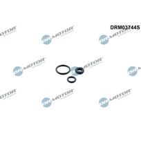 Purkštuko tarpinių rinkinys Dr.Motor Automotive DRM03744S