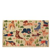 Iš kokoso pluošto grindų kilimėlis 73x43 cm Dog Park – Rex London