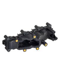 Įsiurbimo kolektoriaus modulis HENGST FILTER H101L D1045