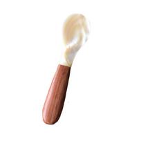Kitchen Tool Tableware Natural Conch Caviar Shell Spoon Ice Cream Dessert Spoon Fork Teaspoon B Spoon