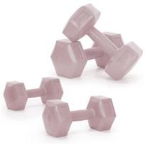 Hanteliai Springos 2 x 2 kg
