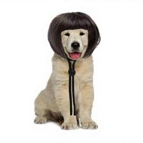 Bob Haircut Pet Wig Funny Full Bangs Dog Wig Trimmable Short Cat Wig with Adjustable Strap Costume Accessory for Parties And Cosplay A black