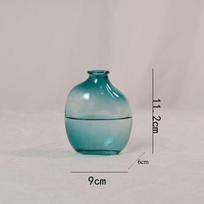 Stiklinė gėlių vaza Retro vaza Ornamentai Daugiafunkcinė hidroponinė vaza transparent-C