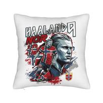 Polish Coat of Arms Polska Flag Pillowcase Cushion Cover Decorations Arms Of Poland  Throw Pillow Case Cover Car Zipper cm 40cmx40cm(16x16Inch)