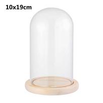Glass Cloche Jar Display Stand Cover Terrarium Bottle with Wooden Base Acrylic Dust Cover Display Box Immortal Flower Box white