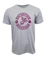 Visit historic Schrute Farms Pennsylvania Graphic T shirt S