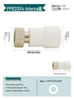 PPR Quick Connector Pre-filter for Water Heaters, 1  Female & Male Thread, 4-point 20 & 6-point 25 Hot Melt Pipe Fittings.