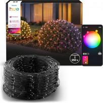 Hue Festavia Light Net with 250 LEDs, 3.45x1m, White and Color Ambiance, black 929004457001 | 8721103180070