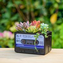 Retro Cassette Tape Shaped Small Flower Pot Planter for Succulent Cactus Plant Air Plants Indoor Outdoor Garden Home Decoration