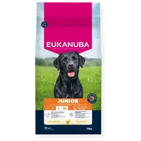 Eukauba Life Care Junior Large sausas maistas didelių veislių jauniems šunims su vištiena, 15 kg
