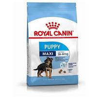 Royal Canin Maxi Puppy 12 kg