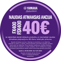 Yamaha FSX400 Natural Elektroakustinė gitara