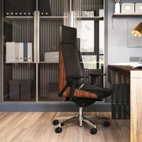 Biuro kėdė MoonWood HD Chrome Valencia