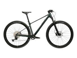 KROSS Level RS 1.0 MY26 / Green/Chameleon Glossy / kalnų (MTB) dviratis (29") (L)