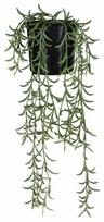 Dirbtinis augalas vazone, gebenė Splendid Hedera, juoda sp./žalia sp., 49 cm x 9 cm