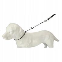 Dingo Gear dresiruojantis smaugiantis antkaklis #3mm, maks. apimtis 50cm