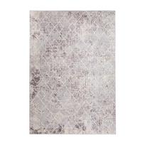 Kilimas vidaus Domoletti Omega E199APEX37 200 x 300 cm