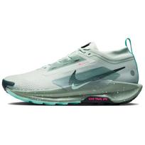 Nike Pegasus Trail 5 Running Shoes Men's Green FQ0908-013 44 gray