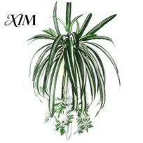 1 vnt Chlorophytum Comosum dirbtiniai žaluma namų viešbučio dekoras dirbtinis voras augalas black